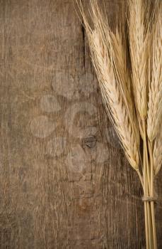 ears spike of wheat on wood texture background