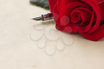 red rose on parchment background