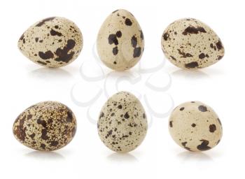 quail egg isolated on white background