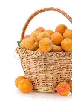 apricot in basket isolated on white background