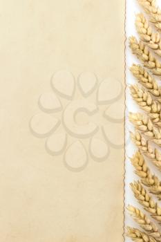 wheat ears and parchment isolated on white background