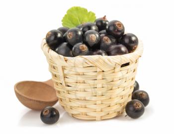 black currants on white background