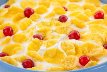 corn flakes and milk in bowl