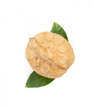 walnuts isolated on white background