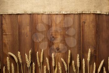 wheat grains on wooden plank background
