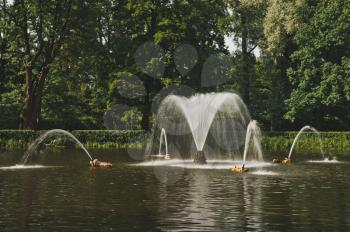 Fountain on near Berezovaya Avenue of Peterhof, nearby to the city of Sankt Petersburg.