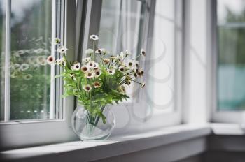 Small white flowers on a light windowsill.