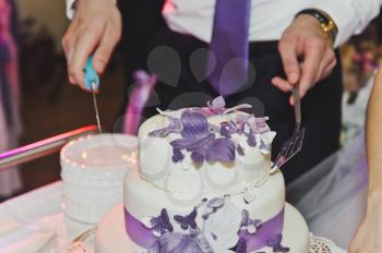 Festive sweet cake with purple decoration.