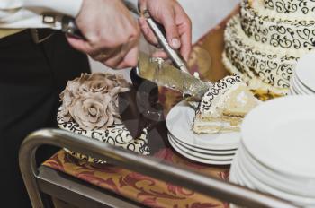 The couple cut the cake into pieces.
