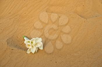 Word love on sand and a bouquet lying nearby.