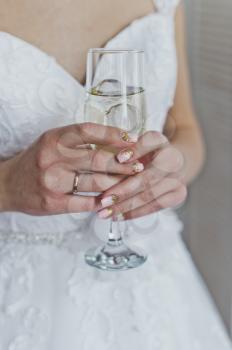 Female hands holding a glass of champagne.