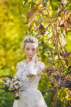 Beautiful portrait of a girl in a wedding modern dress in the background of the vineyard.