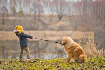 Kids games with your favorite four-legged friend.