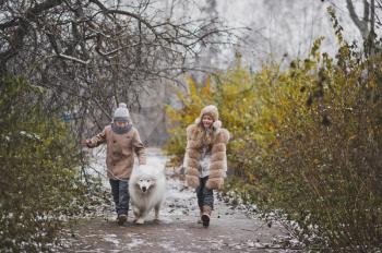 Autumn walk the children in company with the Samoyed dog.