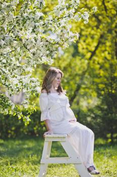 Portrait of a pregnant girl in the branches of the cherry blossoms.