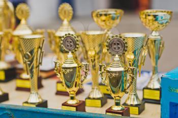Rows of trophies and awards before awarding the winners.