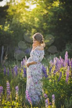 Pregnant girl walking on a blooming field lupine.