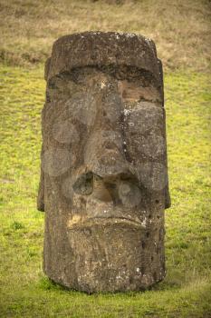 Moais at Ahu Tongariki (Easter island, Chile)