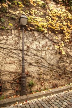 Paris park. Autumn near the Louvre.
