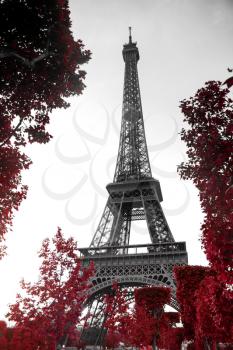 View of Eiffel tower in monochrome style with selective colorization