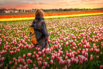 girl walking through the fields holland tulips