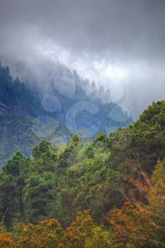 clouds rest on the mountains. Tenerife, Spain, Europe