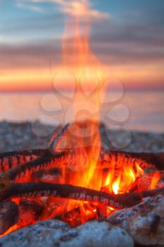 Inviting campfire on the beach during the summer