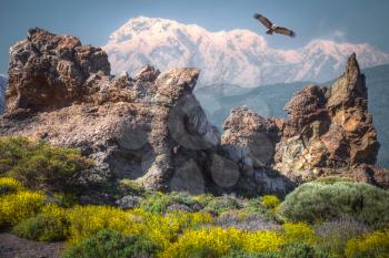 eagle flies over the mountains and roads. Himalayas