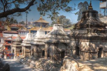 Freely walk monkey. Votive temples and shrines in a row at Pashupatinath Temple, Kathmandu, Nepal.