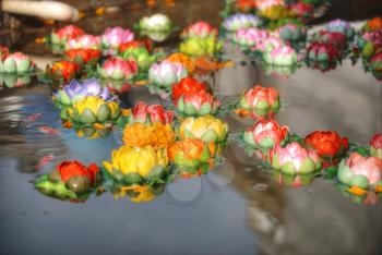 In Buddhism, the lotus is a traditional symbol of purity.