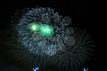 festive fireworks under the night sky