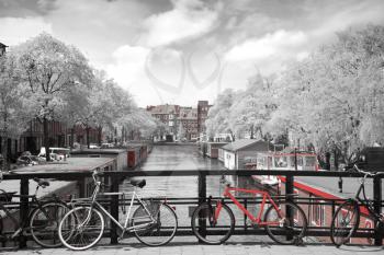 Amsterdam autumn. beautiful places in Europe. black and red and white photo