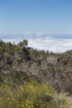 El Teide National Park, Tenerife, Canary Islands, Spain