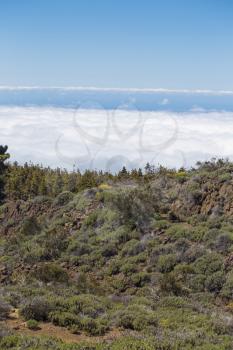 El Teide National Park, Tenerife, Canary Islands, Spain