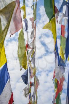 Many colorful waving prayer flags suspended between trees