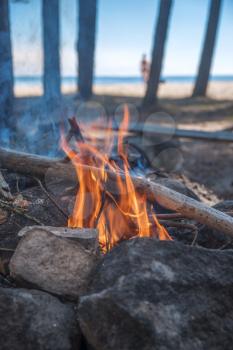 A bonfire burns in a camping in a forest by the sea.