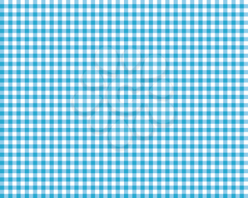 blue checkered picnic tablecloth