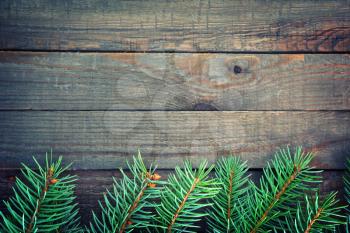 Old wooden background with pine branch, image of flooring board
