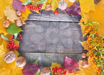 autumn harvest on wooden background,autumn background