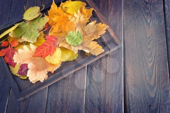 autumn leaves  on the wooden background, yellow leaves