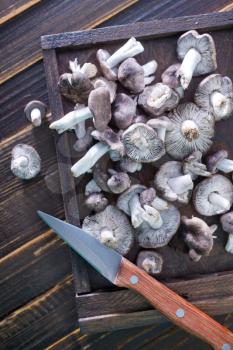 raw mushroom in the wooden box and on a table