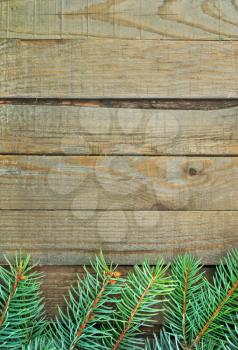 brunch of christmas tree on the wooden background
