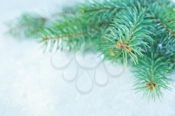 winter background,christmas tree on the snow