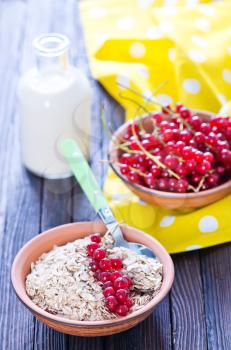 oat flakes with red currant in the bowl