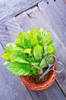 fresh mint leaf on the wooden table