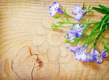 flowers on wooden background