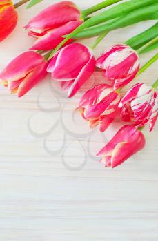 Tulips