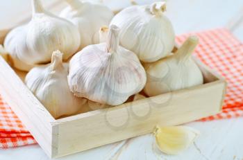 garlic