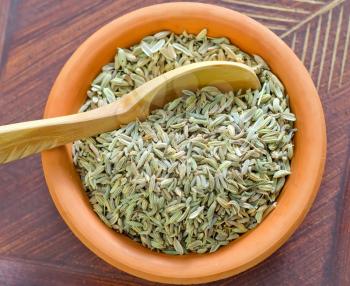 fennel