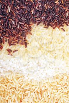 raw rice, background from different kinds of rice